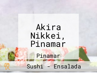 Akira Nikkei, Pinamar