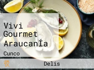 Vivi Gourmet AraucanÍa