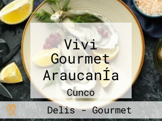 Vivi Gourmet AraucanÍa