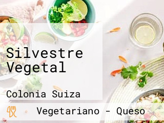 Silvestre Vegetal