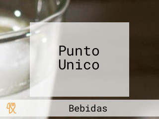 Punto Unico