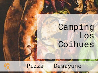 Camping Los Coihues