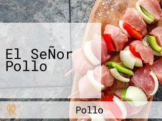 El SeÑor Pollo