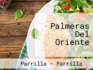 Palmeras Del Oriente