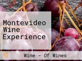 Montevideo Wine Experience