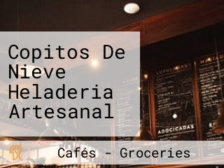 Copitos De Nieve Heladeria Artesanal