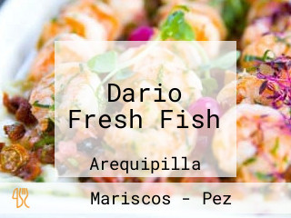 Dario Fresh Fish