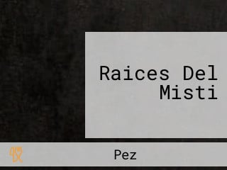 Raices Del Misti