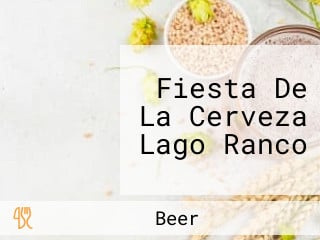 Fiesta De La Cerveza Lago Ranco