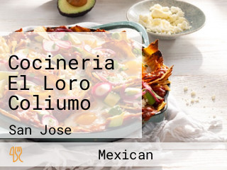 Cocineria El Loro Coliumo