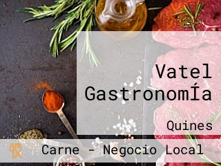 Vatel GastronomÍa