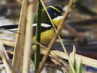 Centro Turístico Isla Doña Inés