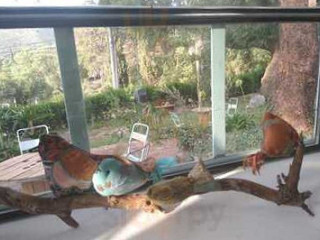 Chilu’s Cosas Ricas