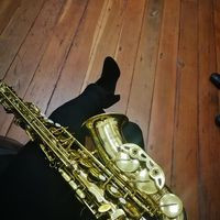 Festival Del Camaron