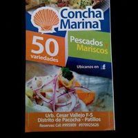 Concha Marina