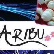 Aribu