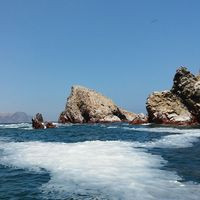 Las Islas Ballestas, Peru