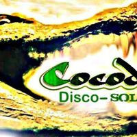 Cocodrilo -disco
