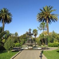 Plaza De Armas San Carlos.