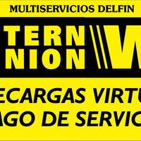 Multiservicios DelfÍn