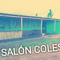 Salon Colesza