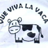 Que Viva La Vaca