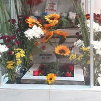 Medialuna Montenegro