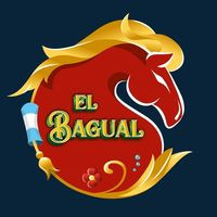 Parrilla El Bagual