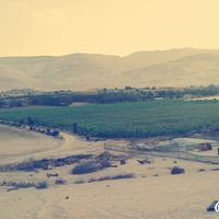 Purochile “km 26 Valle De Lluta“