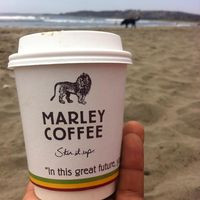 Marley Coffee El Tabo