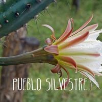 Pueblo Silvestre