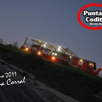 Punta Codito