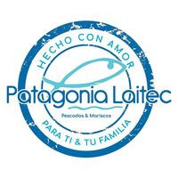 Patagonia Laitec