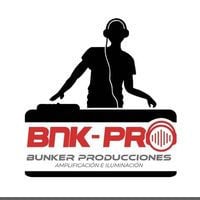 Bnk-pro