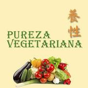 Comida Vegetariana Casera