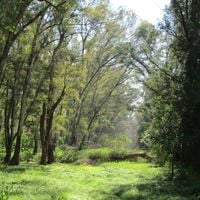 Los Bosques De Ezeiza