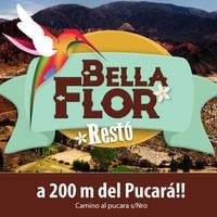 Bella Flor