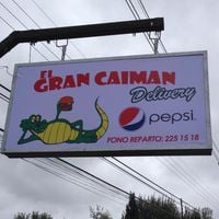 El Gran CaimÁn Padre Las Casas