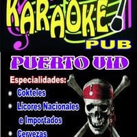 Pub Karaoke Puerto Vid